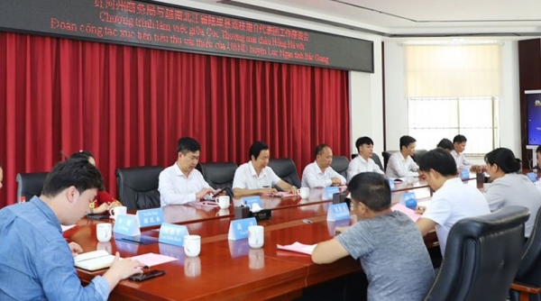 Huyện Lục Ngạn - Bắc Giang: Tổ chức xúc tiến tiêu thụ vải thiều tại Trung Quốc