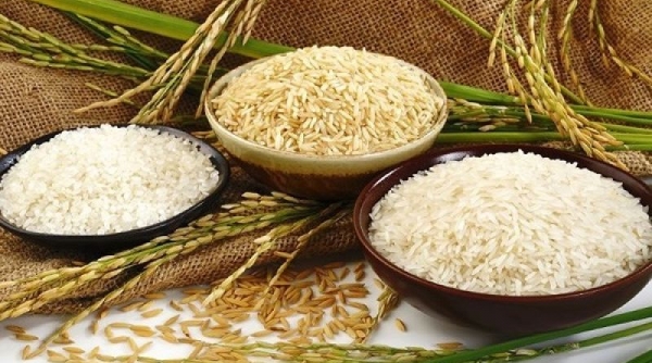Giá lúa gạo hôm nay 22/5: Nguồn cung đang cạn dần, nhu cầu vẫn cao