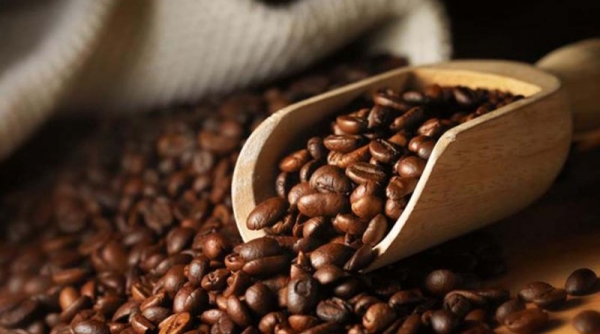 Giá cà phê hôm nay 24/5: Đạt mức kỉ lục, cao nhất 61.300 đồng/kg