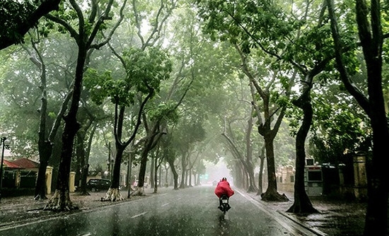 Dự báo thời tiết 24/5: Bắc Bộ, Đông Bắc Bộ đón mưa “giải nhiệt”