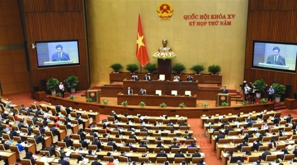 Quốc hội thảo luận tại hội trường về Dự thảo Luật Đấu thầu (sửa đổi)