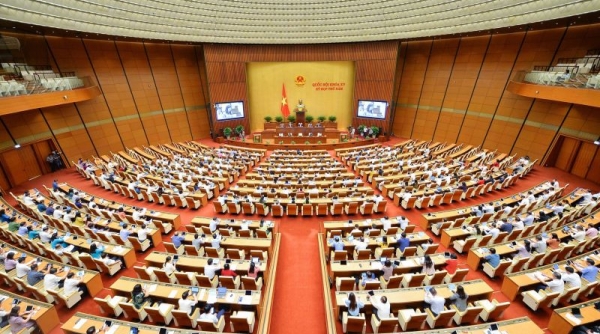 Hôm nay (30/5), Quốc hội thảo luận Luật Giao dịch điện tử và cơ chế, chính sách đặc thù phát triển TP Hồ Chí Minh