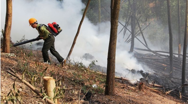 Bắc Giang triển khai các biện pháp cấp bách phòng cháy, chữa cháy rừng
