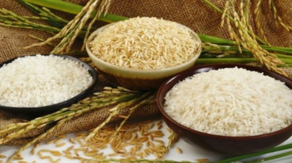 Giá lúa gạo hôm nay 2/6: Duy trì ổn định, giá gạo xuất khẩu tăng 3 USD/tấn