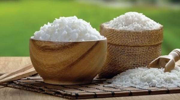 Giá lúa gạo hôm nay 4/6: Nguồn cung giảm, giá lúa gạo neo cao