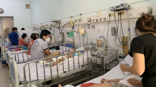 TP. Hồ Chí Minh: Nguy cơ bùng phát dịch sốt xuất huyết và tay chân miệng