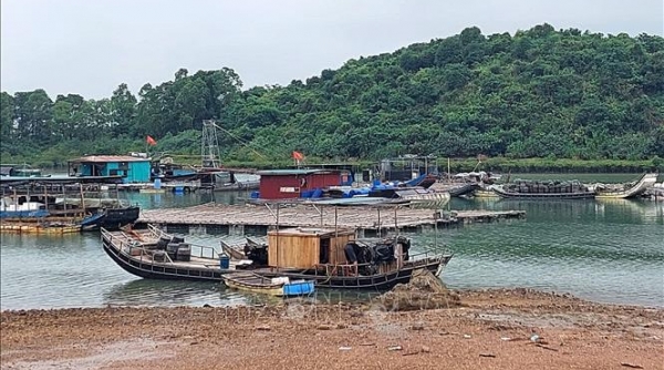 Quảng Ninh: Xử phạt 238 vụ vi phạm về thủy sản trong 5 tháng đầu năm