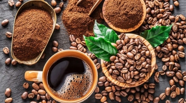 Xuất khẩu cà phê 5 tháng đầu năm 2023 đạt 2 tỷ USD