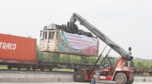 Xuất khẩu 56 tấn vải thiều Bắc Giang lần đầu tiên qua ga Kép