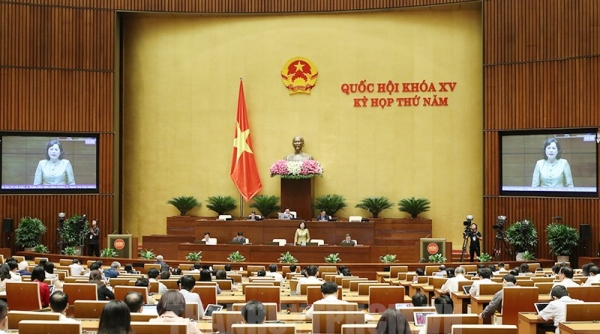 Ngày 21/6: Quốc hội thảo luận tại hội trường về dự thảo Luật Đất đai (sửa đổi)