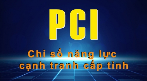 Thanh Hóa nỗ lực tháo gỡ “điểm nghẽn” về chỉ số PCI