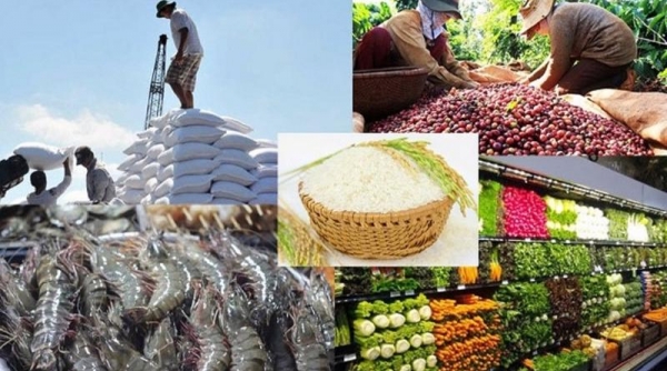 Ngành nông nghiệp: Đặt mục tiêu xuất khẩu đạt 54 tỷ USD