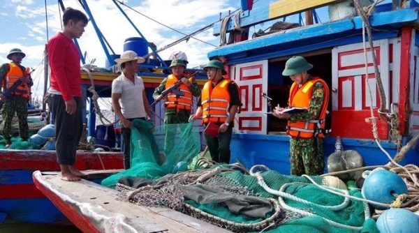 Phát hiện 2 tàu đánh bắt hải sản trái phép tại Hà Tĩnh