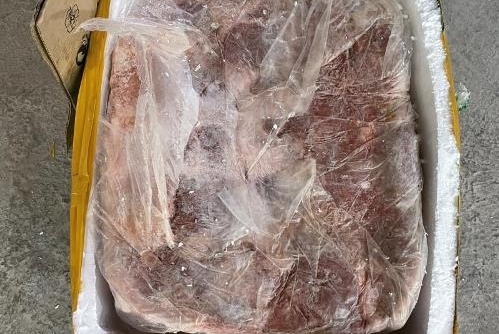 Đà Nẵng: Tiêu hủy 50 kg vú heo không rõ nguồn gốc xuất xứ