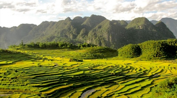 Thanh Hoá quy định định mức đất sản xuất của hộ gia đình vùng dân tộc thiểu số, miền núi