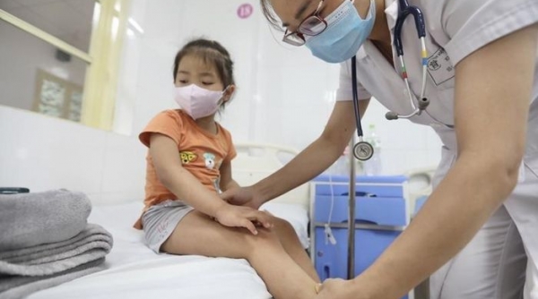 TP. Hồ Chí Minh: Số ca mắc sốt xuất huyết tăng cao