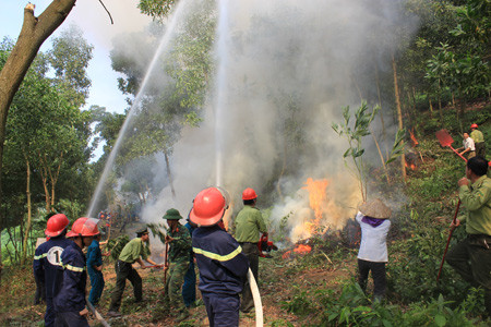 Hà Nội: Nỗ lực giảm thiểu nguy cơ cháy rừng vào mùa nắng nóng