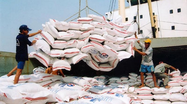 Xuất khẩu gạo Việt Nam xác lập kỷ lục mới