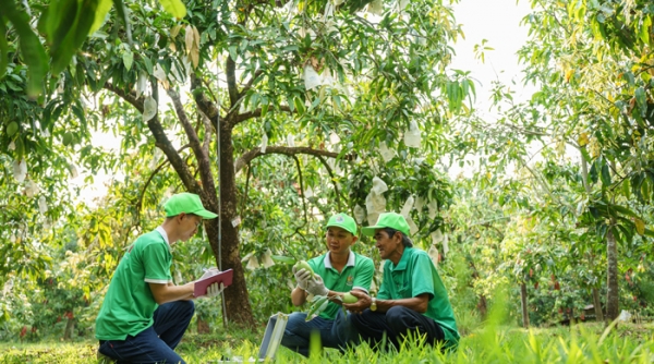 Đồng Tháp: 64 hợp tác xã nông nghiệp có mã vùng trồng phục vụ xuất khẩu