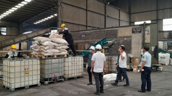 TP. Hồ Chí Minh: Tiêu hủy 52 tấn đường tinh luyện không đảm bảo an toàn sử dụng