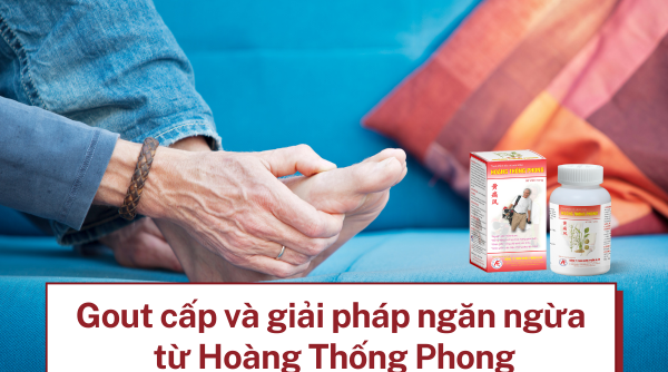 Hiểu về gout cấp và giải pháp ngăn ngừa từ Hoàng Thống Phong
