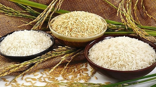 Giá lúa gạo hôm nay 21/7: Tiếp tục xu hướng tăng mạnh