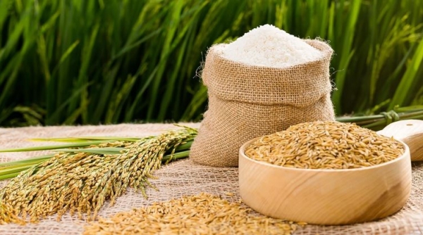 Giá lúa gạo hôm nay 26/7: Tiếp tục tăng 50 - 100 đồng/kg