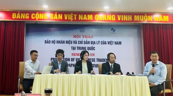 Tăng cường bảo hộ nhãn hiệu và chỉ dẫn địa lý của Việt Nam tại Trung Quốc