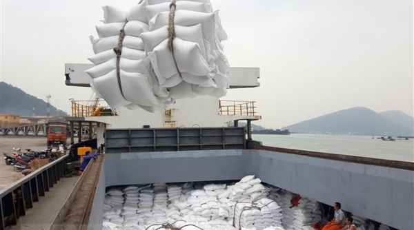Sau lệnh cấm xuất khẩu của Ấn Độ, người tiêu dùng các nước "đổ xô" đi mua gạo