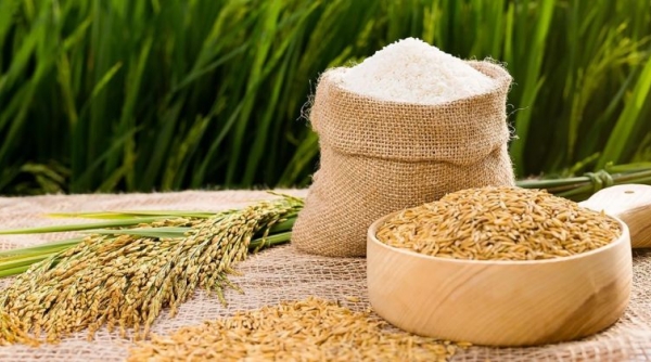 Giá lúa gạo hôm nay 27/7: Liên tục điều chỉnh tăng