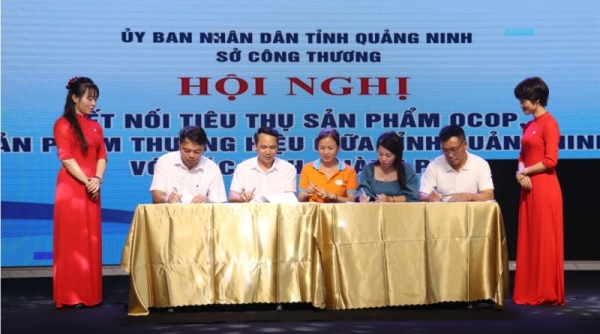 Quảng Ninh tổ chức Hội nghị kết nối tiêu thụ sản phẩm OCOP