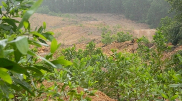 Cục Thuế Thừa Thiên Huế truy thu thêm, trên 300 triệu đồng phí bảo vệ môi trường.