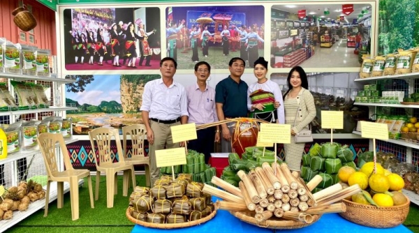 Phiên chợ giới thiệu nông sản, thực phẩm an toàn tỉnh Thanh Hóa năm 2023
