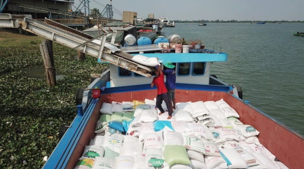 Một số quốc gia cấm xuất khẩu gạo, thời cơ cho gạo Việt Nam