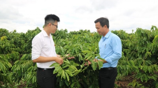 Agribank Chi nhánh huyện Ea Kar - Đắk Lắk: Đòn bẩy phát triển “Tam nông”