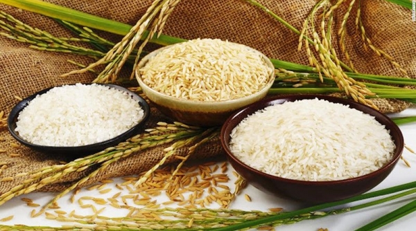 Giá lúa gạo hôm nay 3/8: Tiếp tục tăng 200 đồng/kg