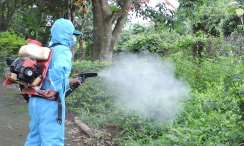 Bình Phước: Phòng chống dịch bệnh do muỗi truyền vì hiện tượng El Nino