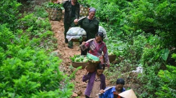 Na Chi Lăng – Thương hiệu Vàng nông nghiệp Việt Nam