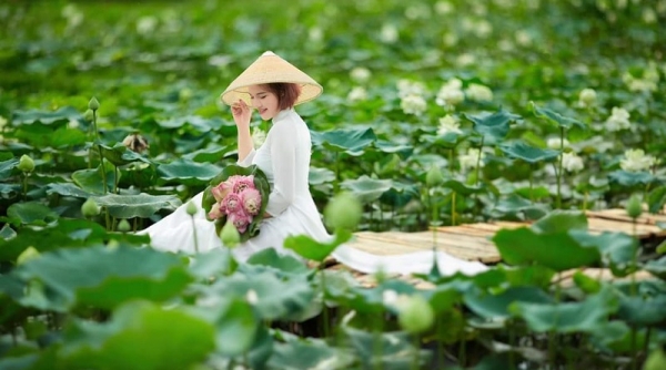 Đầm sen Lương Sơn (Thanh Hóa): Từ hồ nước để không đến điểm sáng cho vùng quê
