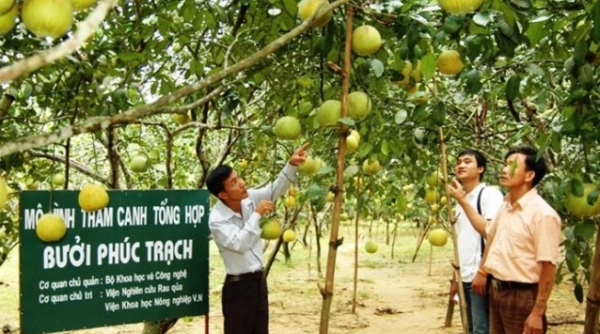 Hà Tĩnh: Tập huấn chuyển đổi số cho cán bộ, doanh nghiệp trên địa bàn