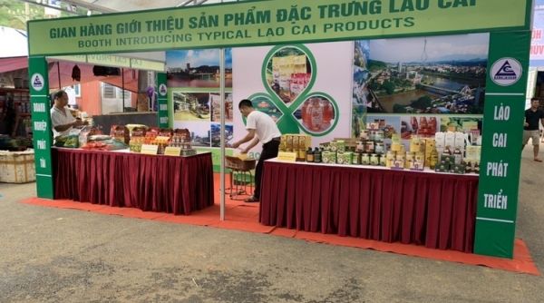 Hội chợ giới thiệu sản phẩm xúc tiến thương mại, thu hút đầu tư tỉnh Lào Cai