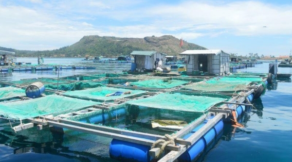 Đề nghị các địa phương tăng cường chỉ đạo nuôi trồng thủy sản các tháng cuối năm