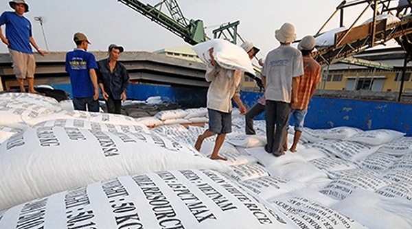 Bộ trưởng Lê Minh Hoan: Gạo chiếm 70% trong tiêu dùng thực phẩm của người Việt Nam