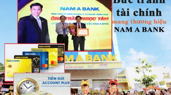 Gam màu sáng - tối mang thương hiệu Nam A Bank - Ngân hàng TMCP Nam Á