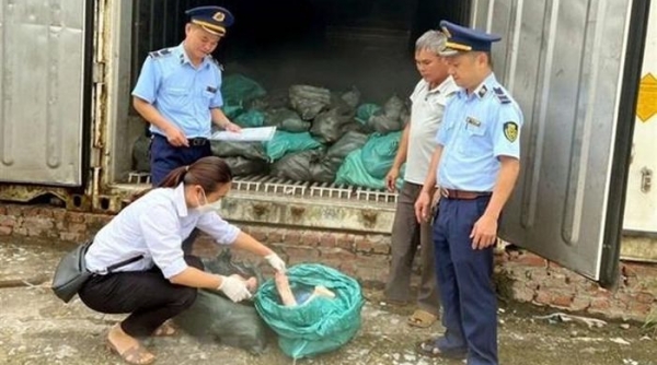 Thu giữ 1,5 tấn móng giò lợn bốc mùi hôi thối tại Lạng Sơn