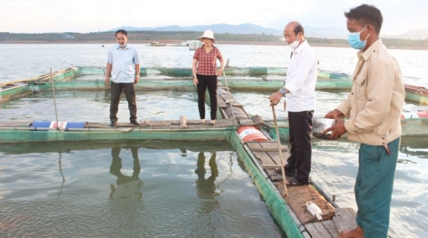 Gia Lai: Ban hành Kế hoạch quan trắc, cảnh báo và giám sát môi trường trong nuôi trồng thủy sản