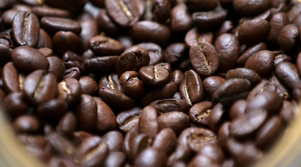 Giá cà phê hôm nay 21/8: Phiên đầu tuần giảm nhẹ 500 đồng/kg