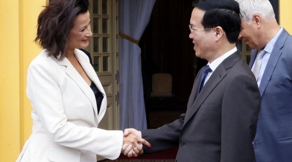 Chủ tịch nước tiếp Chủ tịch Thượng viện Vương quốc Bỉ D'Hose trong chuyến thăm chính thức Việt Nam