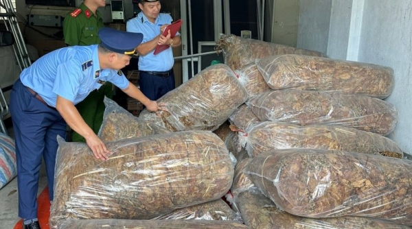 Cao Bằng: Thu giữ 550 kg nguyên liệu thuốc lá không rõ nguồn gốc xuất xứ