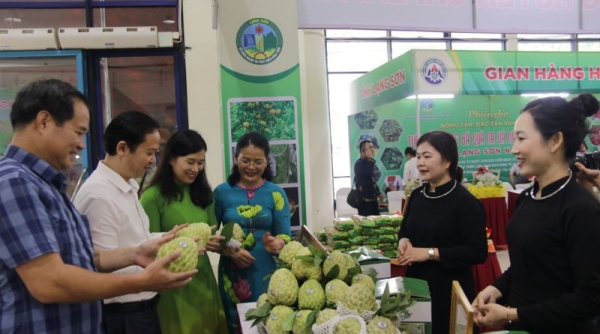 Khai mạc Tuần lễ quảng bá na, nông sản, đặc sản và sản phẩm OCOP tỉnh Lạng Sơn tại Hà Nội